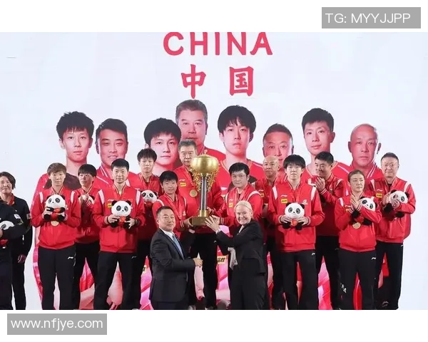 广州足球队的转型之路与世界杯预选赛的挑战与机遇分析